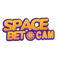 world sudoku championships
